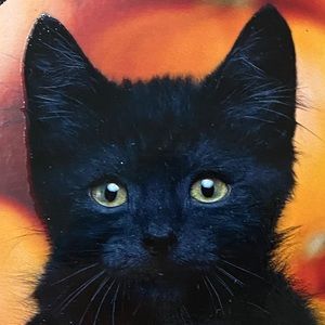 Meet your Posher, Christian